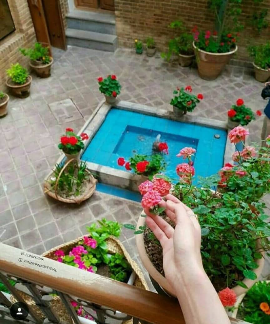 غلط ننویسیم؛ «حیات» و «حیاط» را قاطی نکنیم