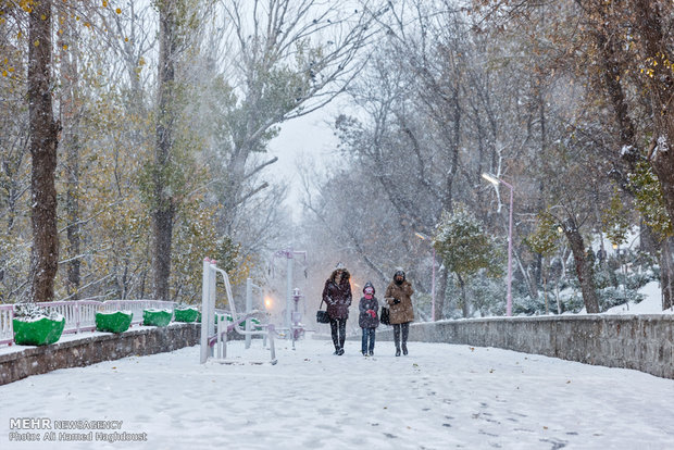 موج سرما در کشور؛ ایران یخ می‌زند