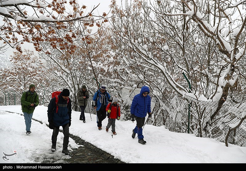 روز برفی در کلکچال تهران