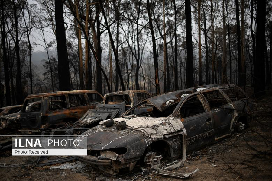 عکس/ جنگل های سوخته استرالیا