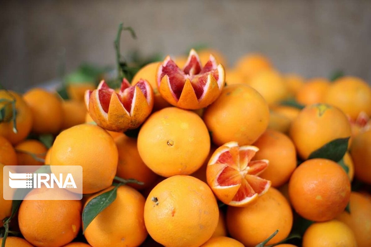 تاثیر صادرات روی قیمت میوه شب عید 