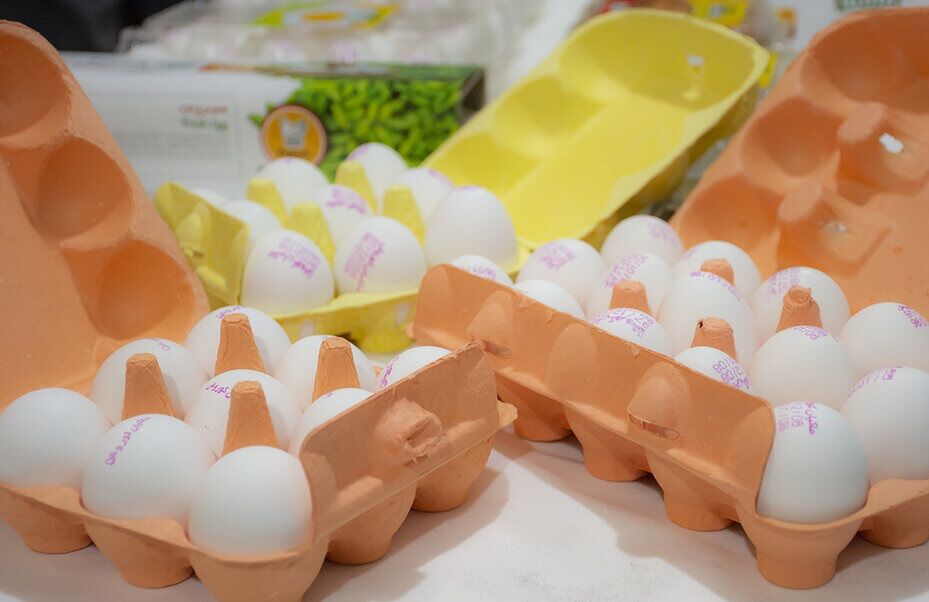 توزیع تخم‌مرغ فله‌ای در البرز ممنوع می‌شود