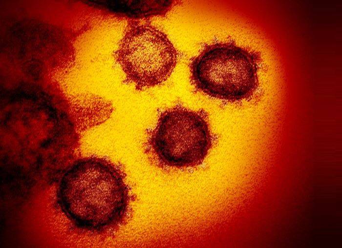 ویروس کرونا جدید ممکن است از طریق مدفوع منتشر شود