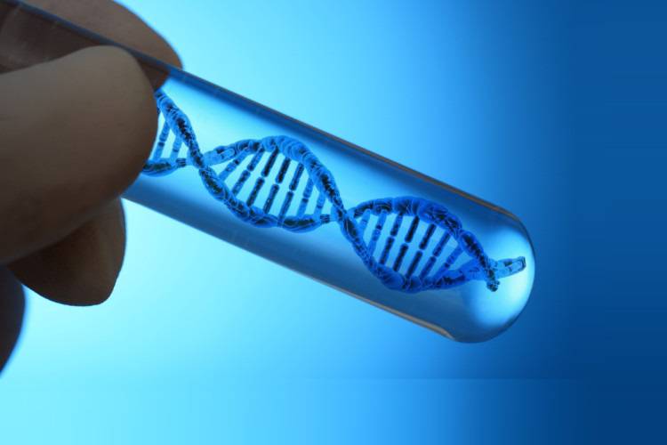 ساخت ژنوم مصنوعی که خود را تکثیر می‌کند