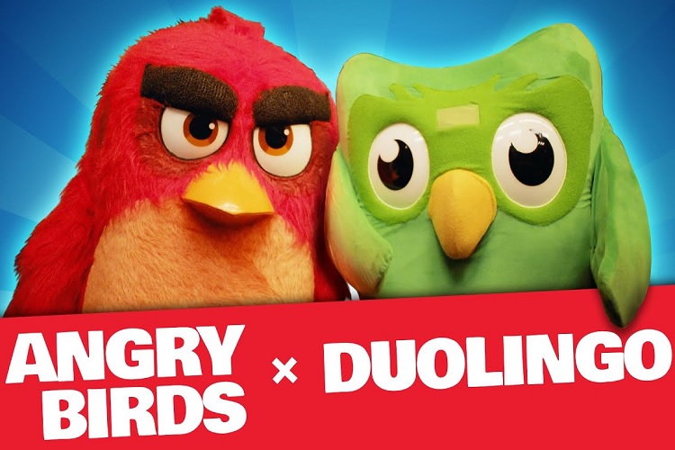 جغد مهربان Duolingo همگام با پرندگان خشمگین می شود 