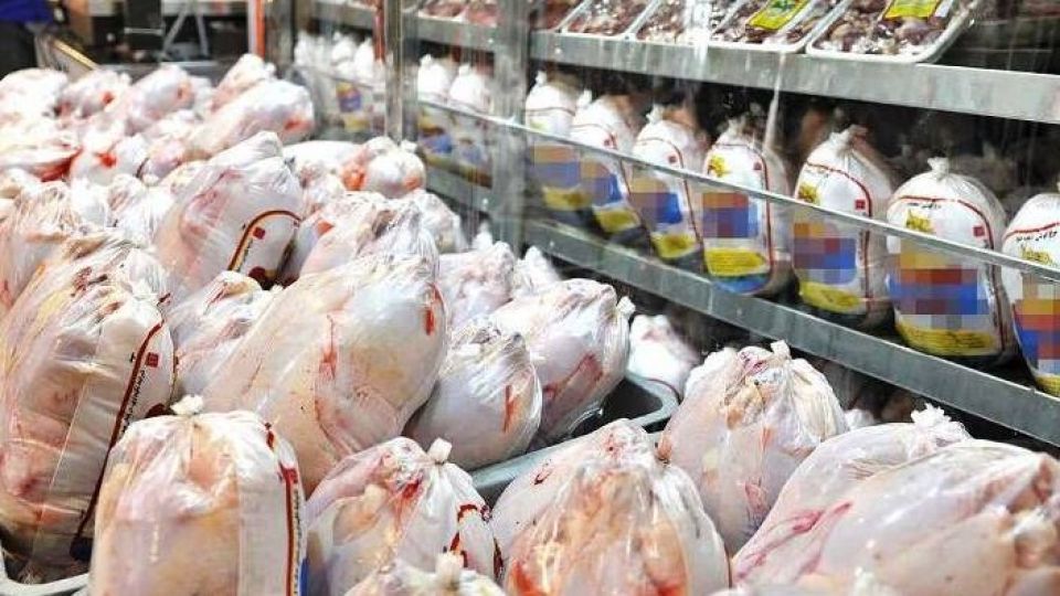 بررسی قیمت مرغ در بازار