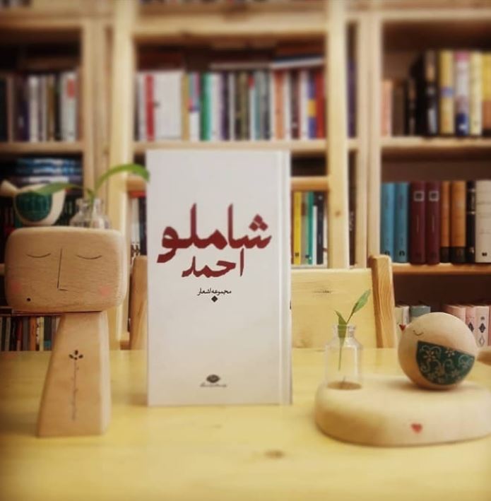 شاعرانه/ روزی ما دوباره کبوترهایمان را پیدا خواهیم کرد