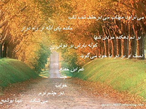شاعرانه/ می تراود مهتاب از نیما یوشیج