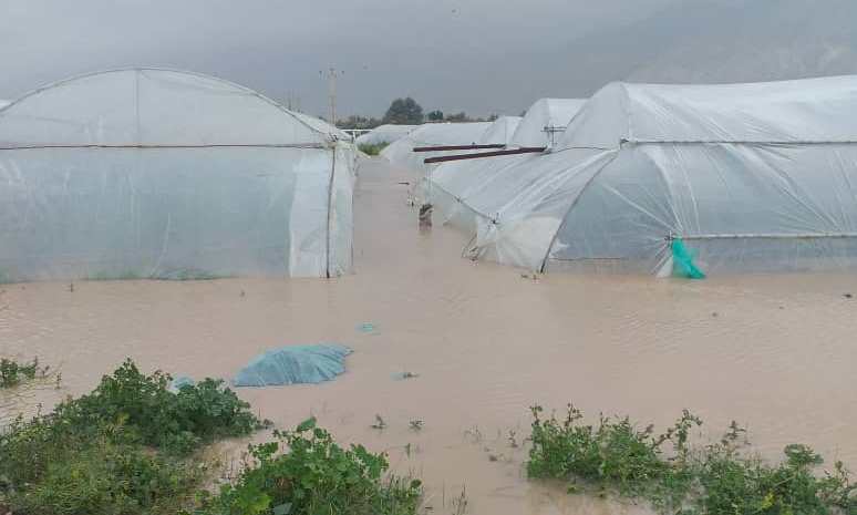 خسارت ۵۰۰ میلیارد تومانی سیل به کشاورزی جنوب کرمان