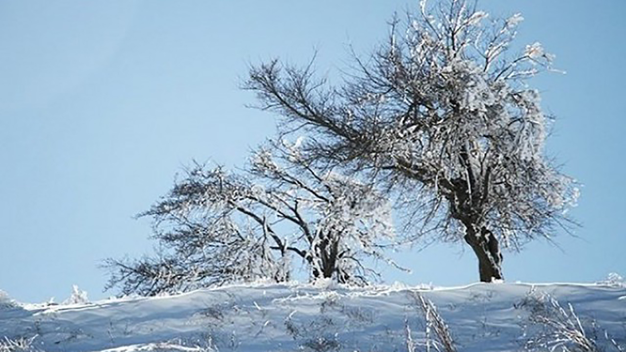 بارش ۳۵ سانتی متری برف در ارتفاعات گلستان