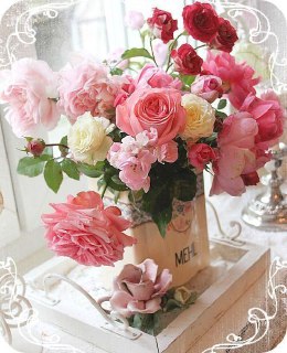 دو خط کتاب/ 2 توشه برای پیمودن راه زندگی
