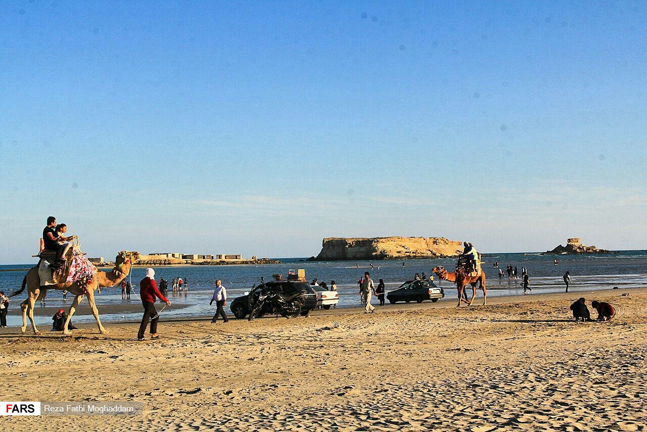 عجایب طبیعی قشم در یک قاب