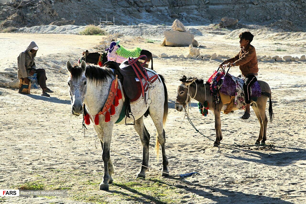 عجایب طبیعی قشم در یک قاب