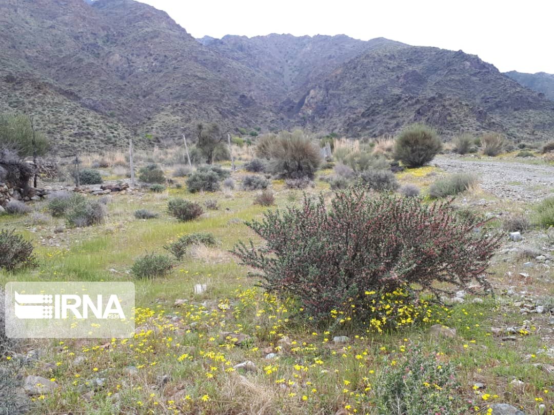 روستای نراب جیرفت