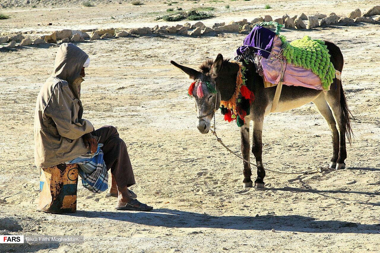 عجایب طبیعی قشم در یک قاب
