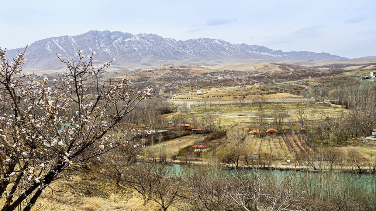 سرما به باغات لردگان خسارت وارد کرد