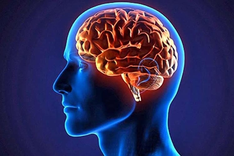 حقایق جذابی درباره مغز که شاید ندانید