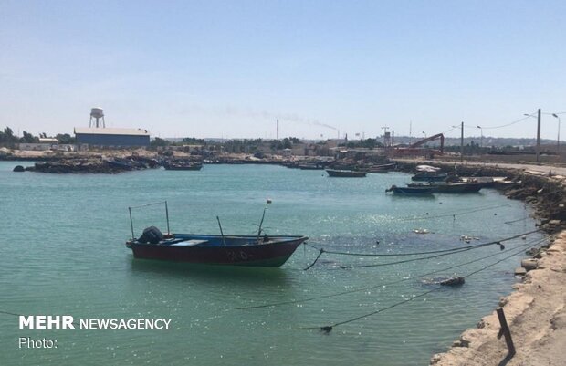تردد شناورهای صیادی در آب‌های خلیج فارس ممنوع شد