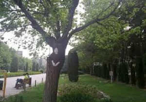 رفتن به طبیعت در روز ۱۳ به‌در حرام است