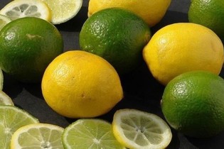 صادرات لیمو شیرین و لیمو ترش ممنوع شد