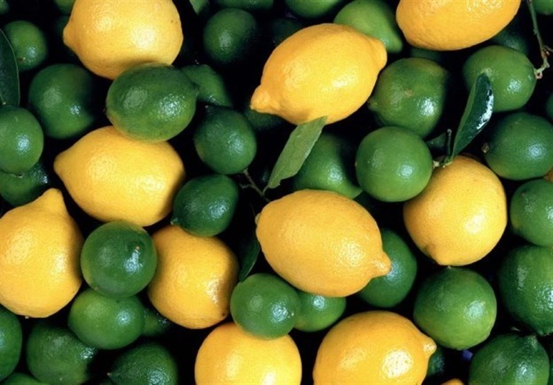 صادرات لیموی ترش و شیرین ممنوع شد