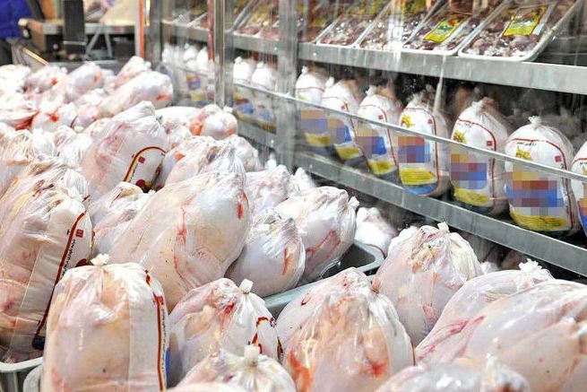 قیمت مرغ در همدان همچنان رو به کاهش