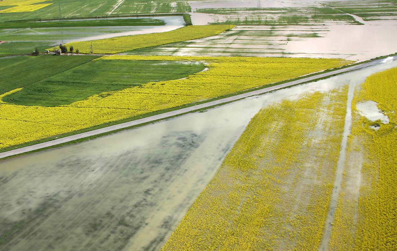 سیل ۱۴۰۰ میلیارد ریال به بخش کشاورزی هرمزگان خسارت وارد کرد