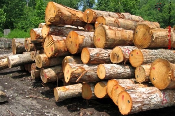 کشف ۶ تن چوب قاچاق در سیاهکل