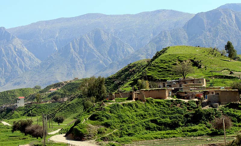 دشت سوسن ایذه؛ طبیعتی بی‌نظیر در خوزستان