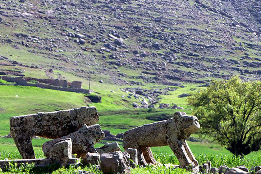 دشت سوسن ایذه؛ طبیعتی بی‌نظیر در خوزستان