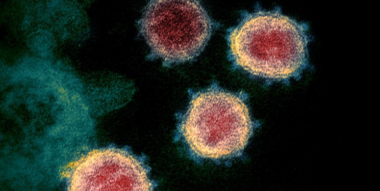 ثبت ۲۲ مورد جدید ابتلا به کرونا در زنجان