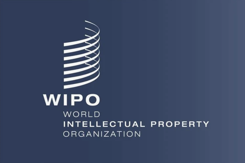 Wipo 1200. Всемирная организация интеллектуальной собственности (ВОИС). ВОИС логотип. WIPO логотип. WIPO одноразки.