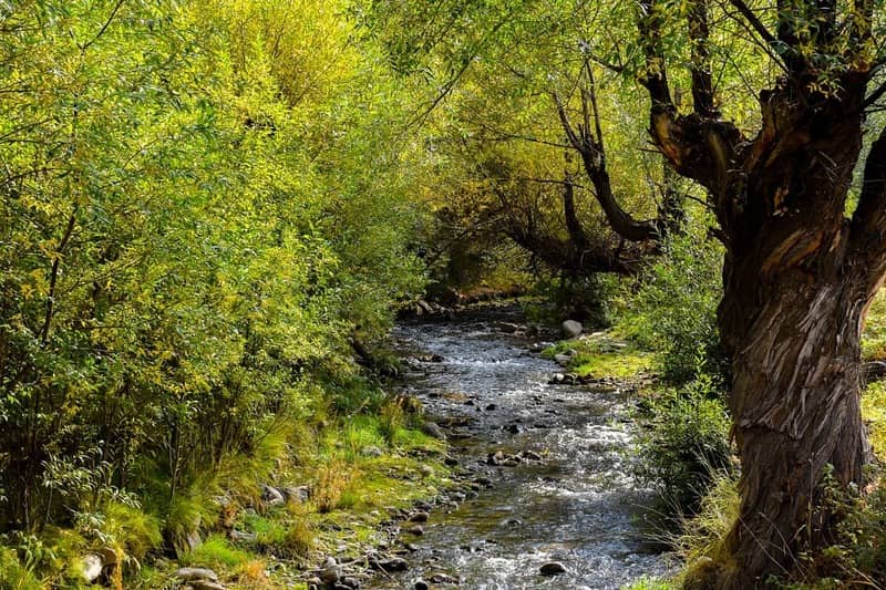 پایتخت پنیر ایران را بشناسید