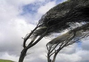 وزش باد نسبتا شدید در همدان