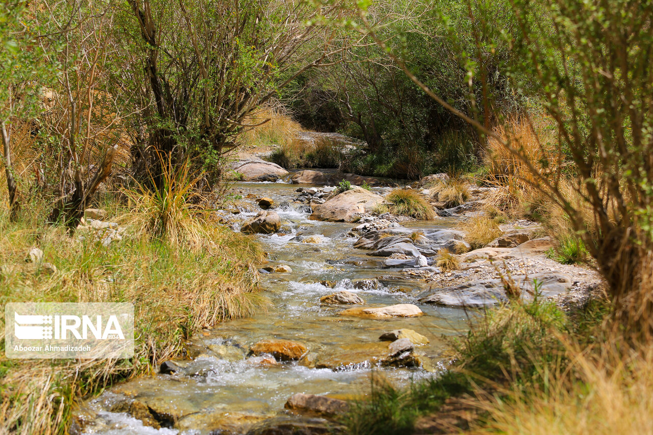 طبیعت بهاری روستای سکنج کرمان