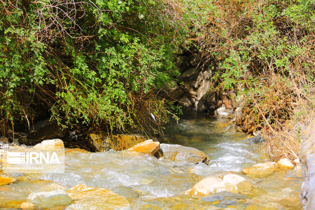 طبیعت بهاری روستای سکنج کرمان