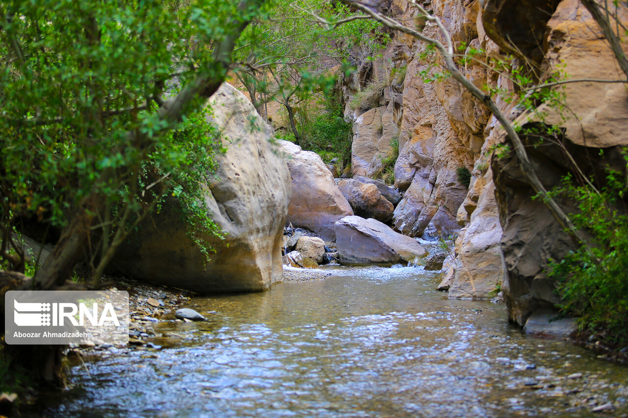 طبیعت بهاری روستای سکنج کرمان
