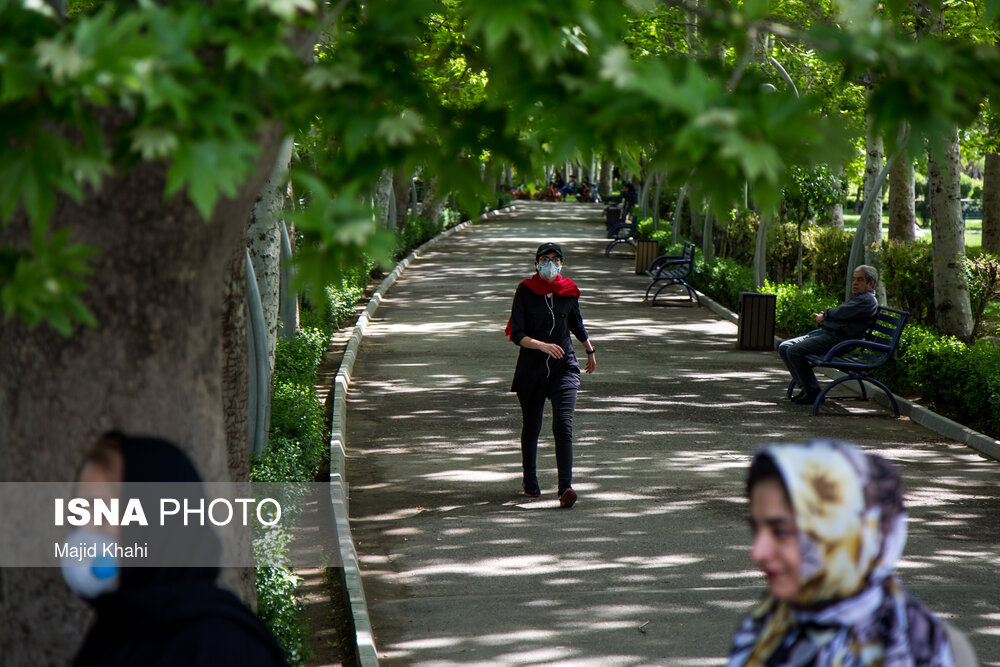 عکس/ در بوستان‌های تهران چه می گذرد!