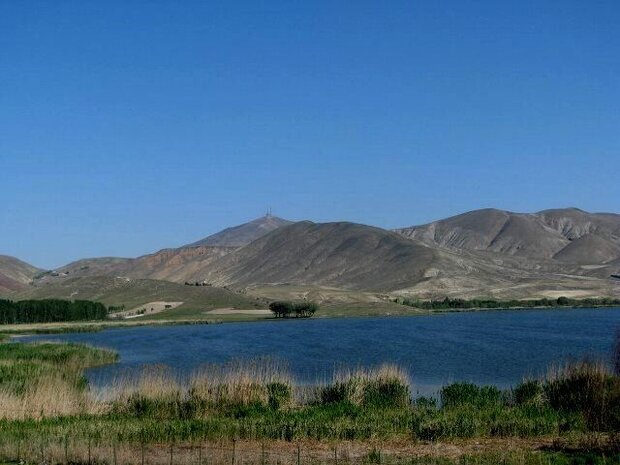 نمک زدایی از آب شور با یون زدایی خازنی
