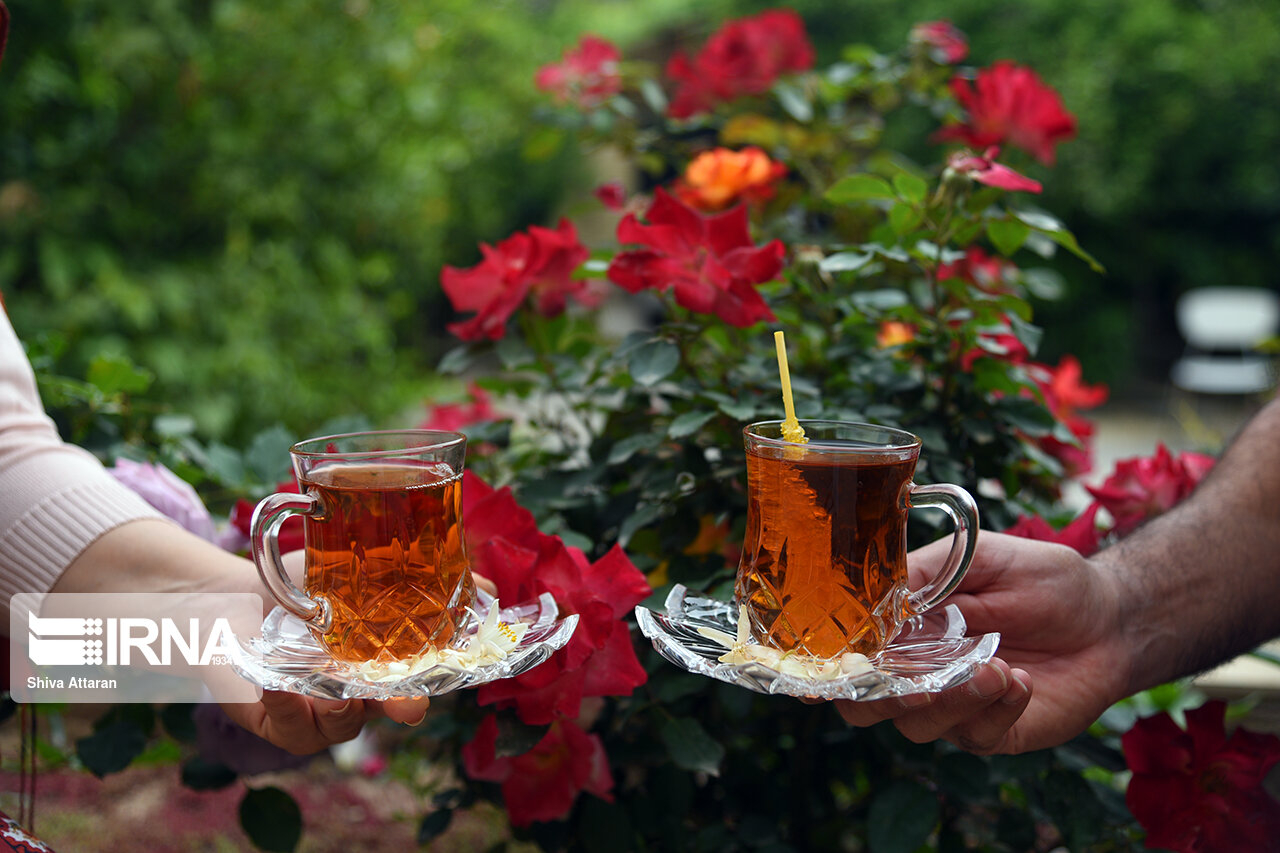 خانه‌ای با عطر بهار نارنج