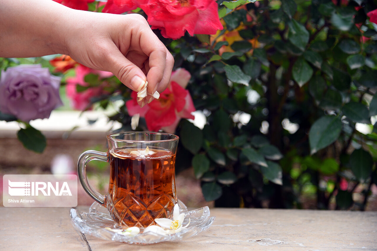 خانه‌ای با عطر بهار نارنج