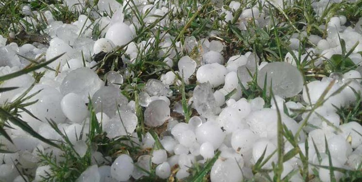 خسارت 263 میلیارد ریالی به محصولات باغی و زراعی آذربایجان‌غربی