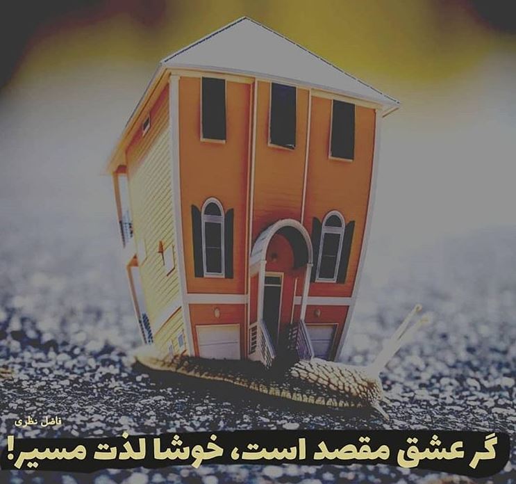 شاعرانه/ "گر عشق مقصد است خوشا لذت مسیر" از فاضل نظری 