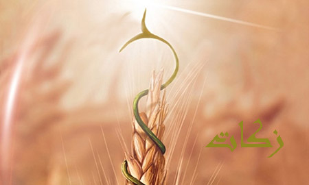 نحوه محاسبه زکات چگونه است؟