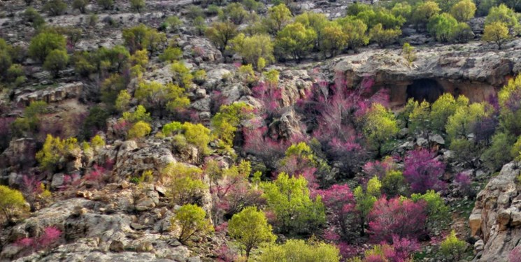 طرح ایجاد اردوگاه گردشگری موگرمون لنده مصوب شد