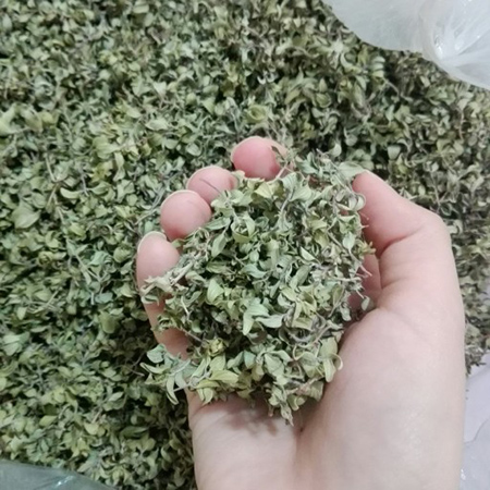 آشنایی با خواص جادویی گیاه کاکوتی