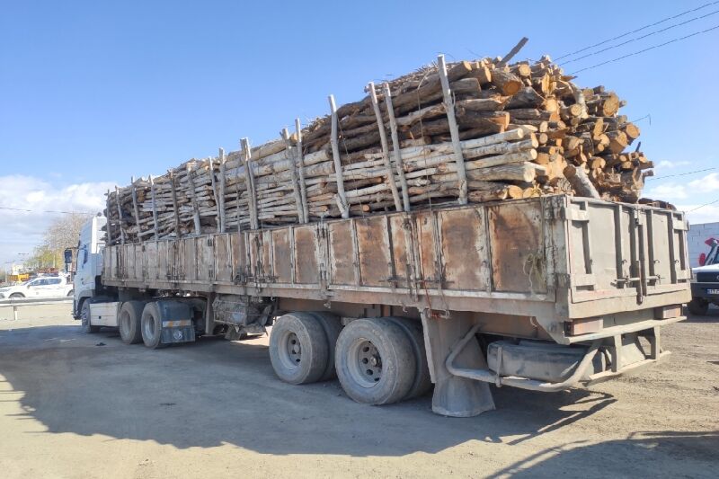 کشف‌‌وضبط ۲۵۰ اصله چوب‌آلات قاچاق جنگلی در استان اردبیل