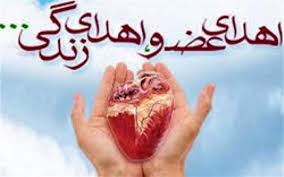 2 نفر در بوشهر با اهدای 7 عضو حیاتی جان بخشیدند 
