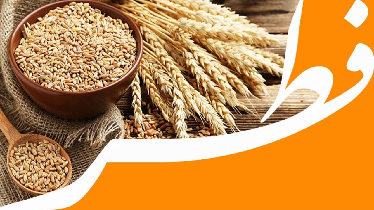 اعلام فطریه و کفاره در خراسان جنوبی