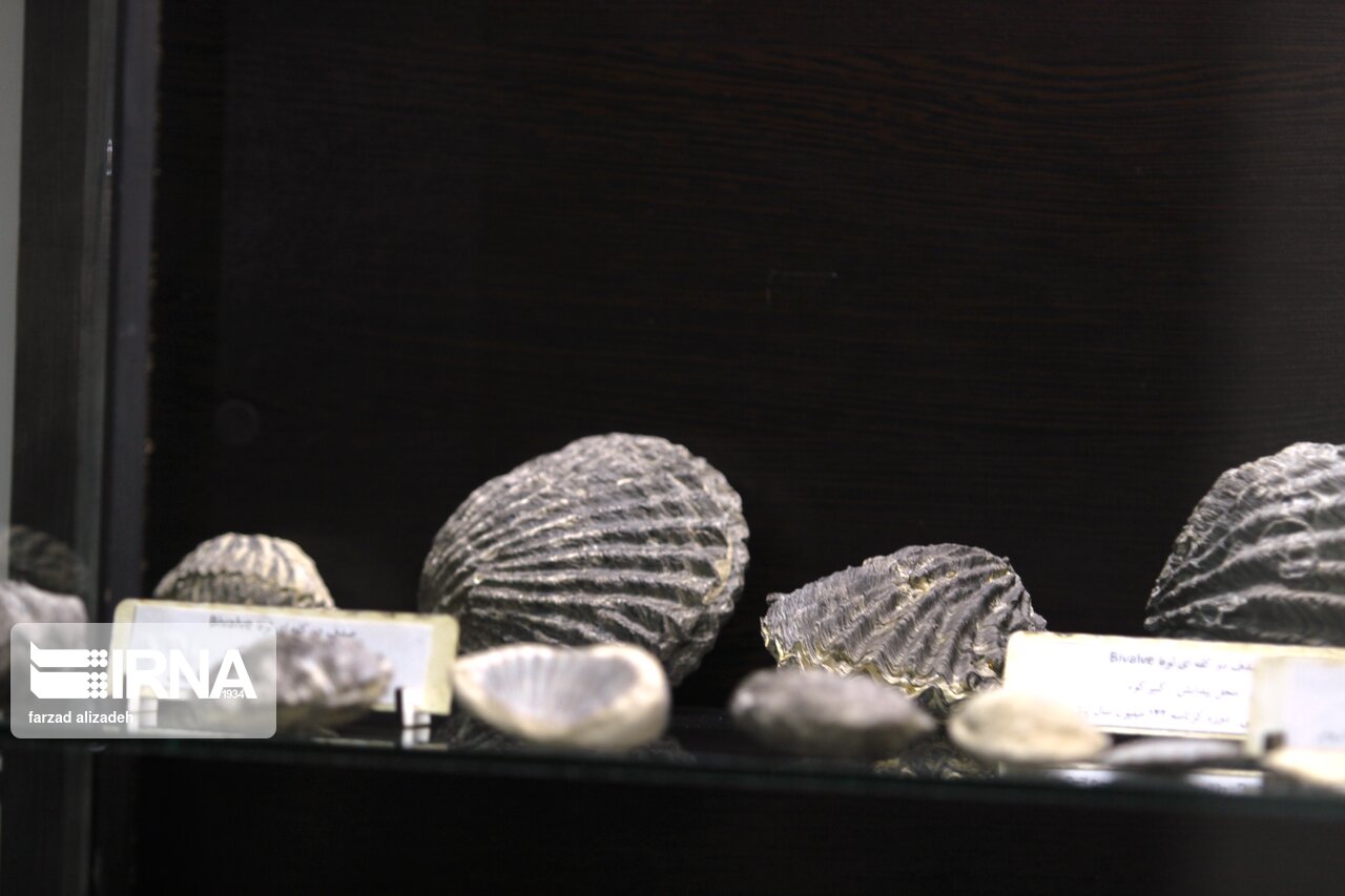 موزه سنگ و سنگواره ایلام